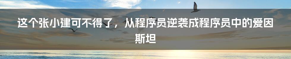 这个张小建可不得了，从程序员逆袭成程序员中的爱因斯坦