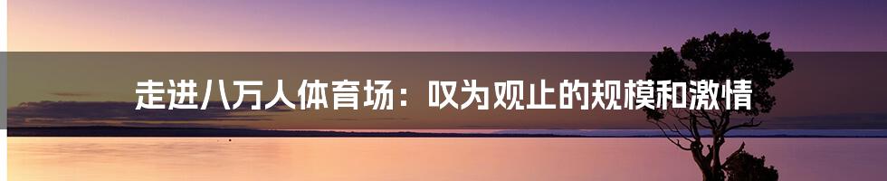 走进八万人体育场：叹为观止的规模和激情