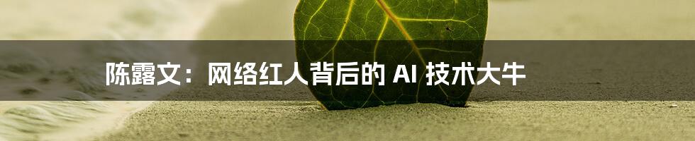 陈露文：网络红人背后的 AI 技术大牛