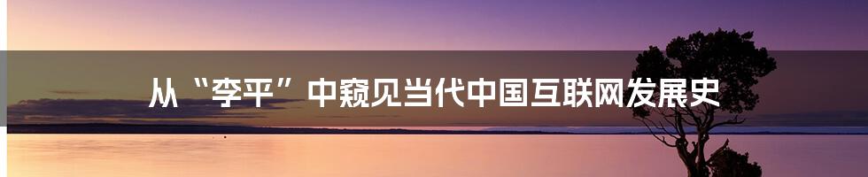 从“李平”中窥见当代中国互联网发展史