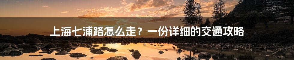 上海七浦路怎么走？一份详细的交通攻略