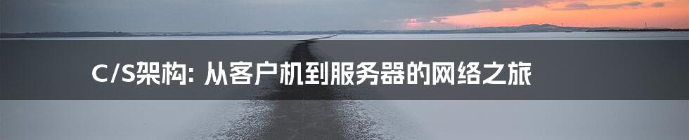 C/S架构: 从客户机到服务器的网络之旅