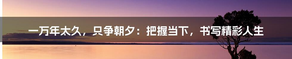 一万年太久，只争朝夕：把握当下，书写精彩人生