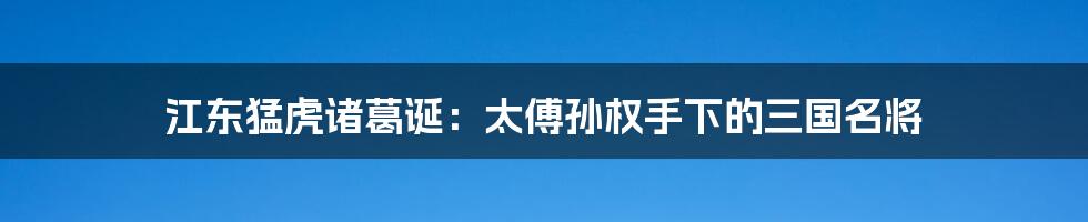 江东猛虎诸葛诞：太傅孙权手下的三国名将