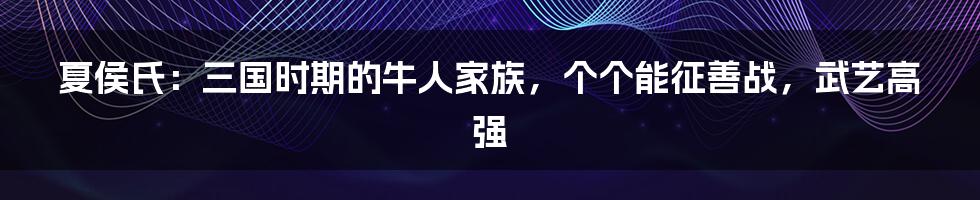 夏侯氏：三国时期的牛人家族，个个能征善战，武艺高强