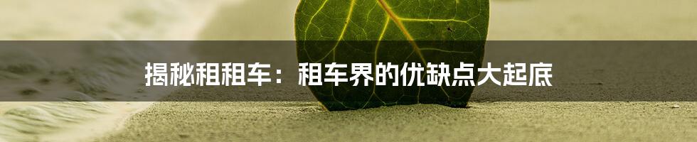 揭秘租租车：租车界的优缺点大起底