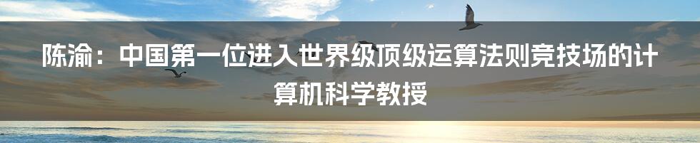 陈渝：中国第一位进入世界级顶级运算法则竞技场的计算机科学教授