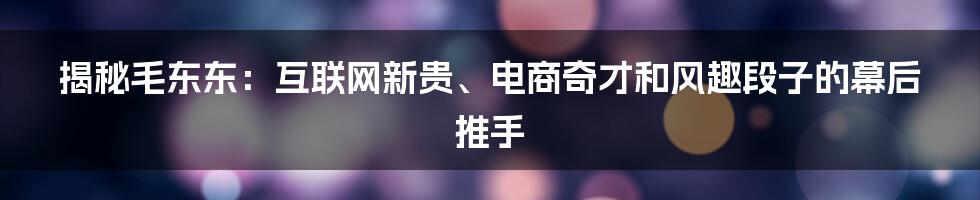 揭秘毛东东：互联网新贵、电商奇才和风趣段子的幕后推手