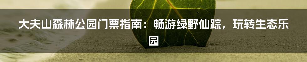 大夫山森林公园门票指南：畅游绿野仙踪，玩转生态乐园