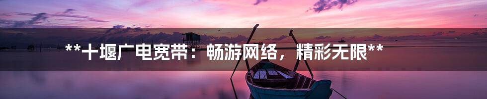 **十堰广电宽带：畅游网络，精彩无限**