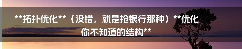 **拓扑优化**（没错，就是抢银行那种）**优化你不知道的结构**