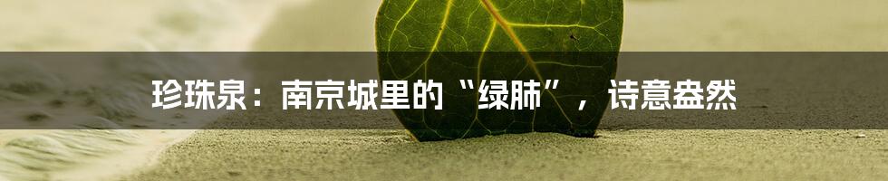 珍珠泉：南京城里的“绿肺”，诗意盎然