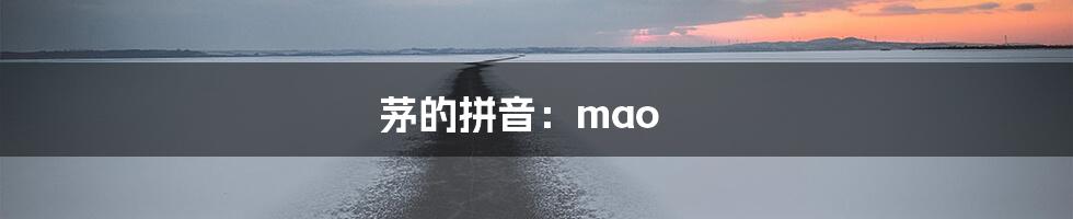 茅的拼音：mao