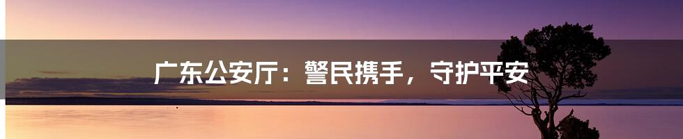 广东公安厅：警民携手，守护平安