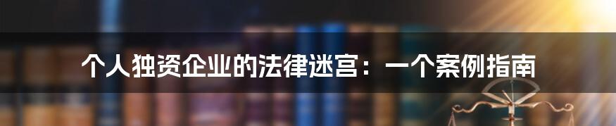 个人独资企业的法律迷宫：一个案例指南