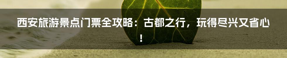 西安旅游景点门票全攻略：古都之行，玩得尽兴又省心！