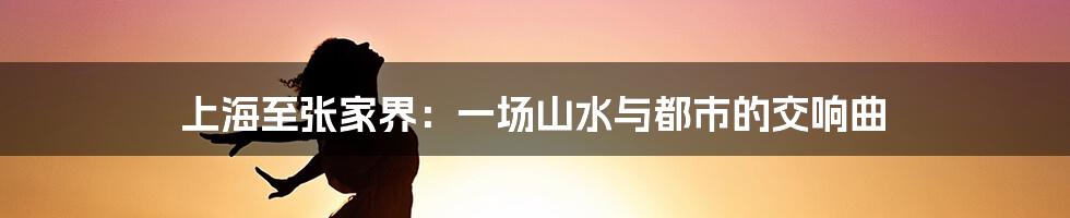 上海至张家界：一场山水与都市的交响曲