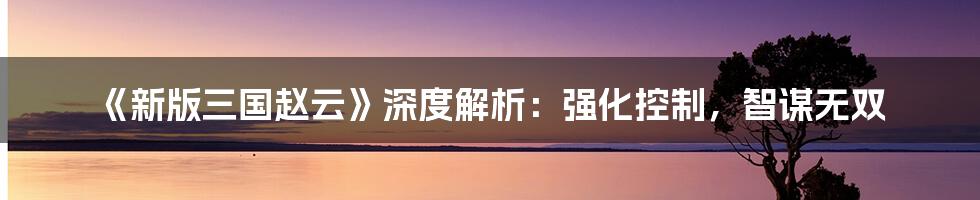 《新版三国赵云》深度解析：强化控制，智谋无双