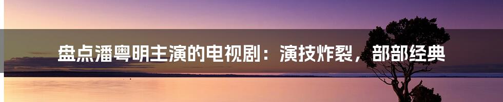 盘点潘粤明主演的电视剧：演技炸裂，部部经典