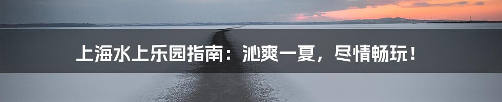 上海水上乐园指南：沁爽一夏，尽情畅玩！