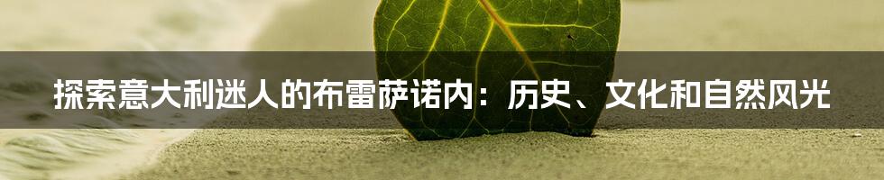 探索意大利迷人的布雷萨诺内：历史、文化和自然风光