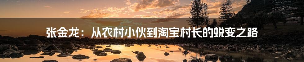 张金龙：从农村小伙到淘宝村长的蜕变之路