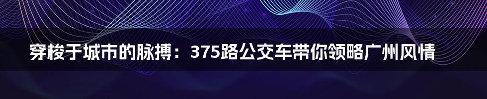 穿梭于城市的脉搏：375路公交车带你领略广州风情