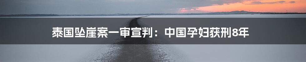 泰国坠崖案一审宣判：中国孕妇获刑8年