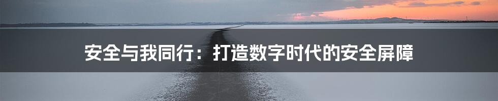 安全与我同行：打造数字时代的安全屏障