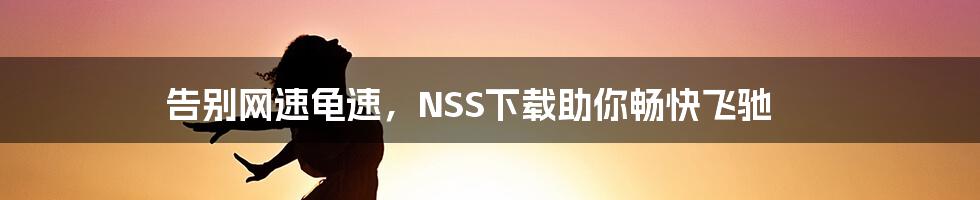 告别网速龟速，NSS下载助你畅快飞驰