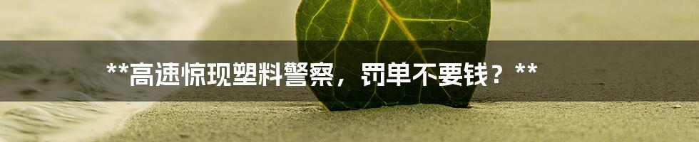 **高速惊现塑料警察，罚单不要钱？**