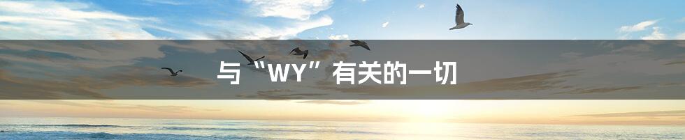 与“WY”有关的一切