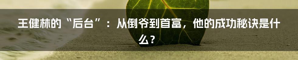 王健林的“后台”：从倒爷到首富，他的成功秘诀是什么？