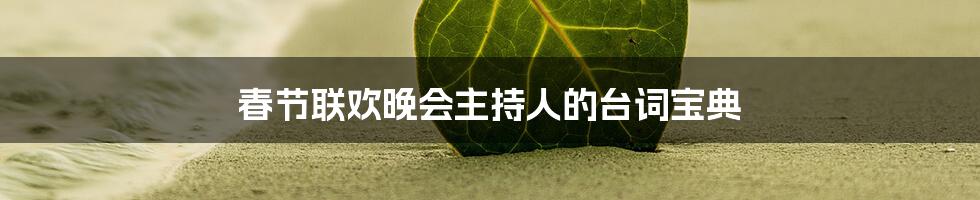 春节联欢晚会主持人的台词宝典