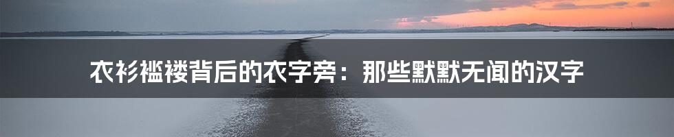 衣衫褴褛背后的衣字旁：那些默默无闻的汉字