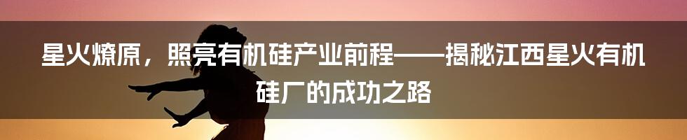 星火燎原，照亮有机硅产业前程——揭秘江西星火有机硅厂的成功之路