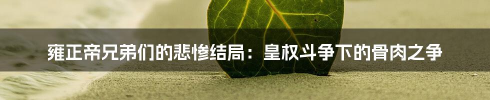 雍正帝兄弟们的悲惨结局：皇权斗争下的骨肉之争