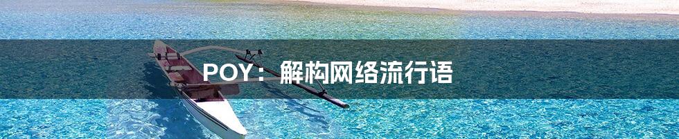 POY：解构网络流行语