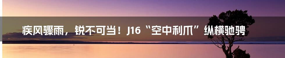 疾风骤雨，锐不可当！J16“空中利爪”纵横驰骋