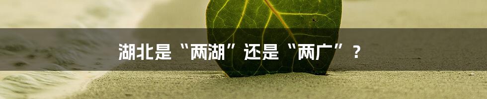 湖北是“两湖”还是“两广”？