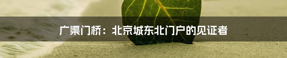 广渠门桥：北京城东北门户的见证者