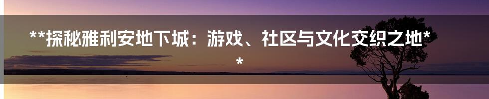 **探秘雅利安地下城：游戏、社区与文化交织之地**