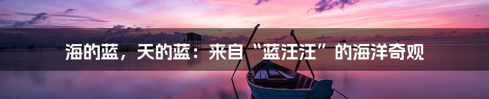 海的蓝，天的蓝：来自“蓝汪汪”的海洋奇观