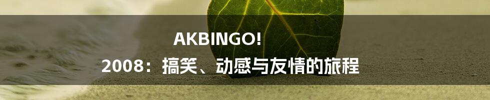 AKBINGO! 2008：搞笑、动感与友情的旅程