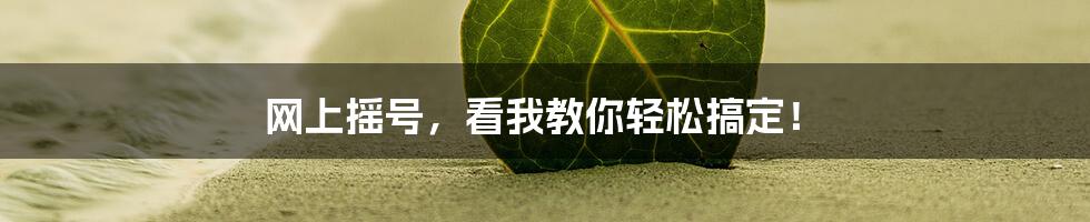 网上摇号，看我教你轻松搞定！