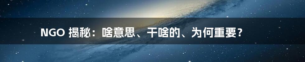 NGO 揭秘：啥意思、干啥的、为何重要？