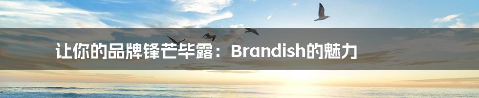 让你的品牌锋芒毕露：Brandish的魅力