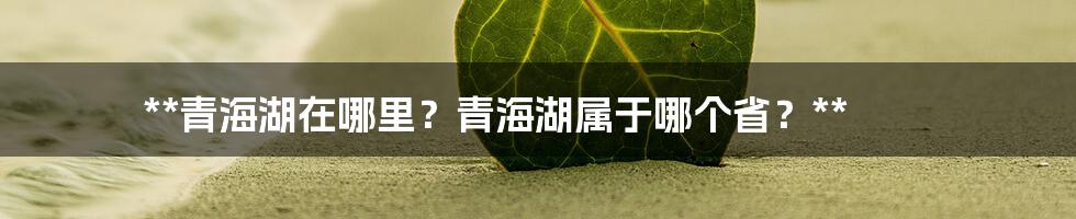 **青海湖在哪里？青海湖属于哪个省？**