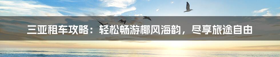 三亚租车攻略：轻松畅游椰风海韵，尽享旅途自由