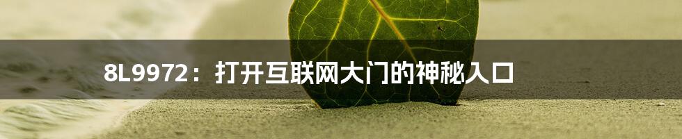 8L9972：打开互联网大门的神秘入口